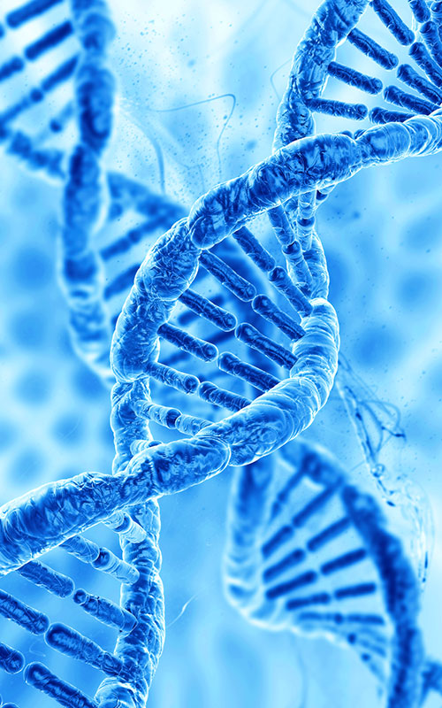 Inilunsad ng Anhua Bio ang Produktong PDRN: Muling Pagbubuo ng Global Supply Chain ng Tissue Regeneration Raw Materials na may Synthetic Biology